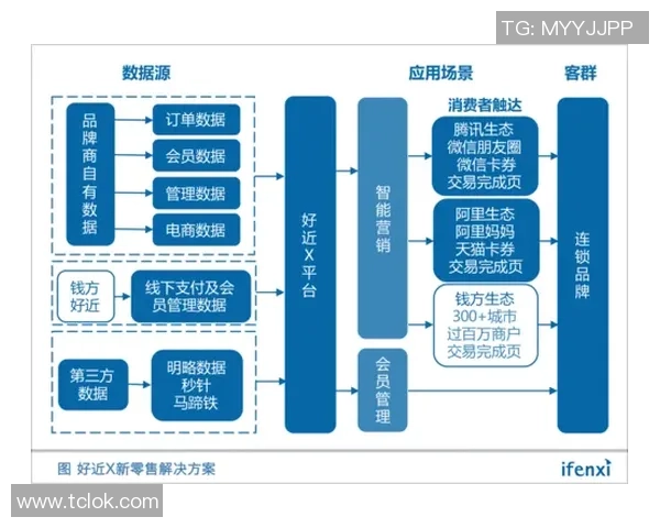 南京排球队耐力表现数据分析与训练策略探讨 南京排球队耐力表现数据分析与训练策略探讨