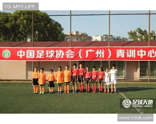 广州足球队运营策略深度分析与解读探讨