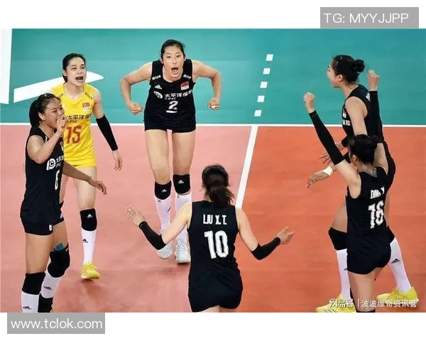 杭州排球队的整体压制揭秘与排球深度分析探讨