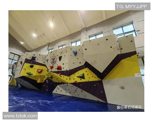 武汉攀岩队的节奏与热情探秘攀岩运动的魅力与发展